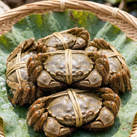 Hairy Crab
