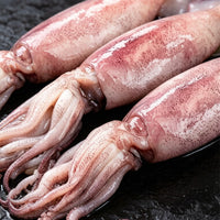 Fresh Whole Squid