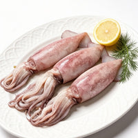 Fresh Whole Squid