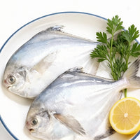 Silver Pomfret